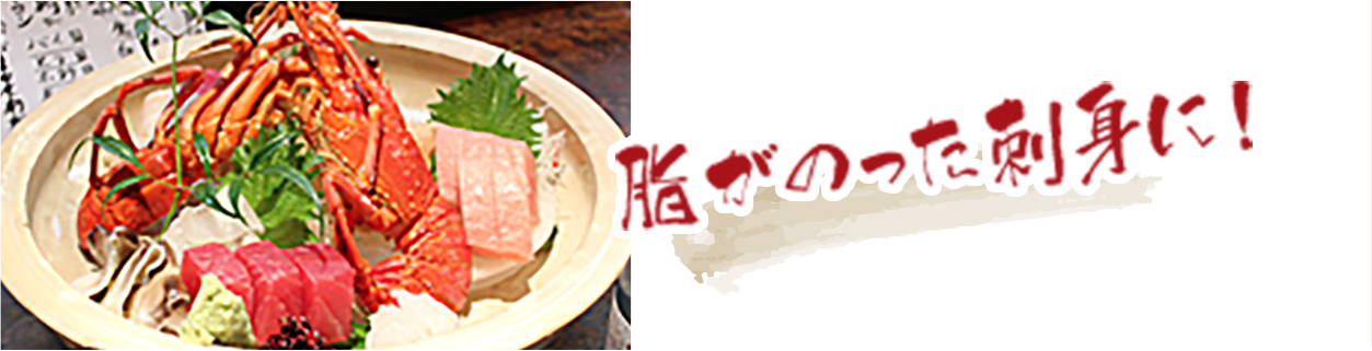 脂がのった刺身に