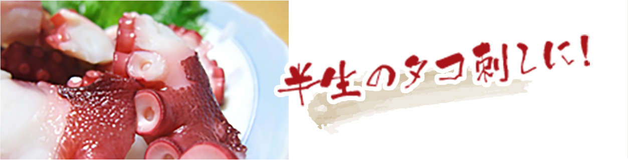 半生のタコ刺しに！