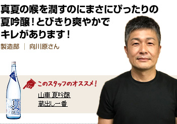 真夏の喉を潤すのにまさにぴったりの夏吟醸！とびきり爽やかでキレがあります！