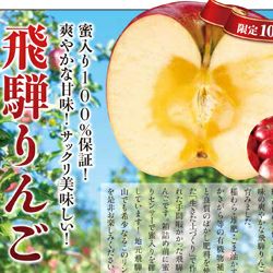 飛騨りんご5kg　※準備出来次第お届け　【原田酒造場】