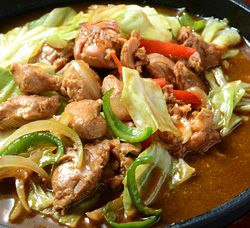 飛騨の鶏ちゃん 特製味噌味　【原田酒造場】